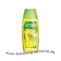 49569 senses Tropics Duschgel
